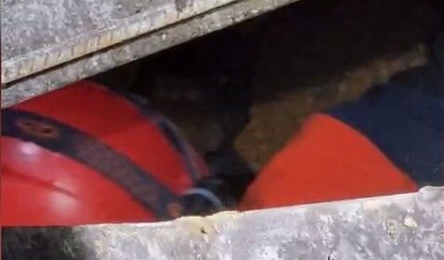 Mısır Silosuna Düşen İşçi Hayatını Kaybetti