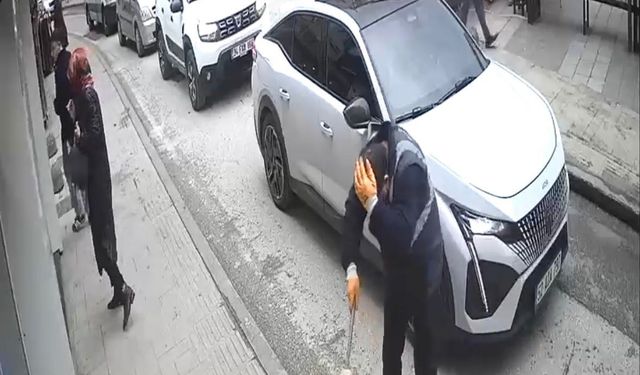 Ordu'da talihsiz kaza!