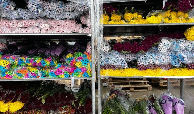 Sevgililer Günü için Hollanda'dan çiçek getirttiler!