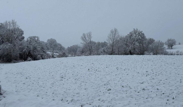 Tekirdağ beyaza büründü