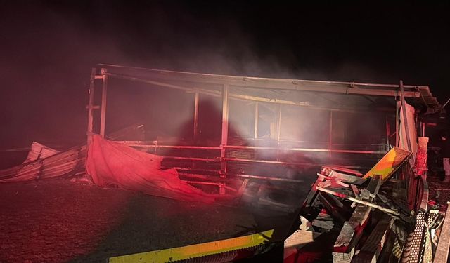 Tekirdağ’da çiftlikte facia: Onlarca hayvan öldü