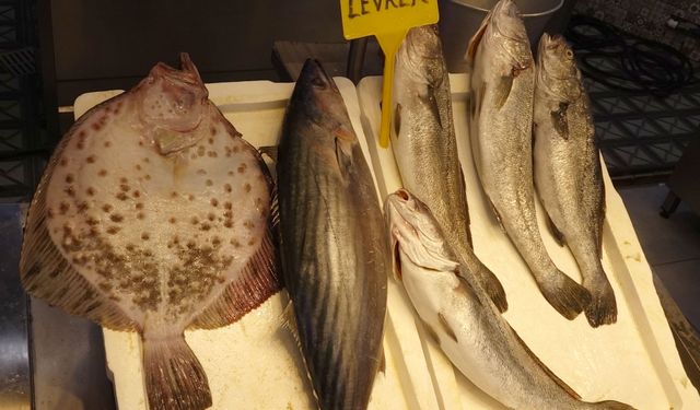 Trabzon’da Ramazan’ın İlk Günlerinde Balığa İlgi Düşük Kaldı