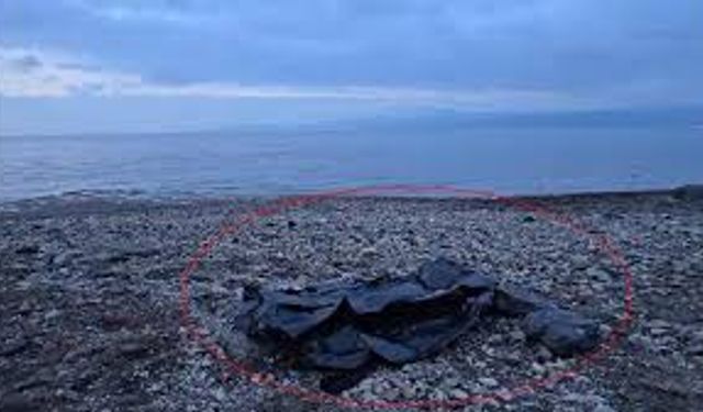 Gemlik Körfezi’nde Denizde Erkek Cesedi Bulundu