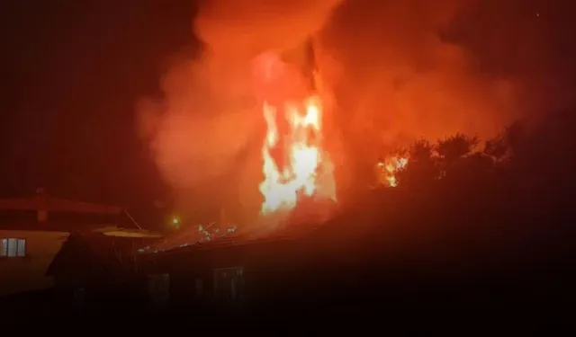 Urla’da Yangın Can Aldı: 68 Yaşındaki Kadın Hayatını Kaybetti