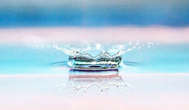 Amatör ve Sportif Olta Balıkçılığı Federasyonu'ndan “Doğaya Saygı, Geleceğe Rastgele” çağrısı