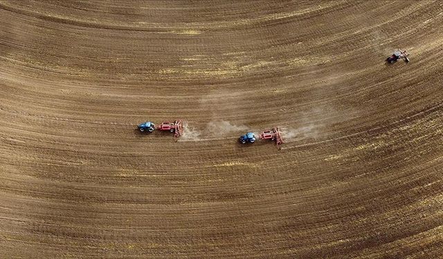 Cumhuriyet Tarihinin En Kapsamlı Tarım Sayımında Sona Gelindi
