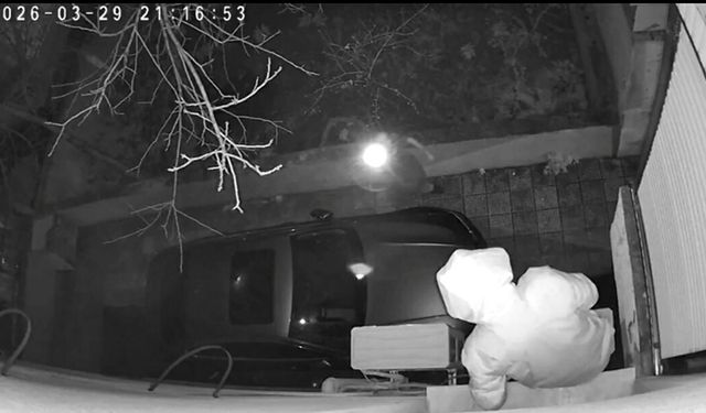 Hırsızlık için tırmandığı binada fark edilince, bakın nasıl kaçtı