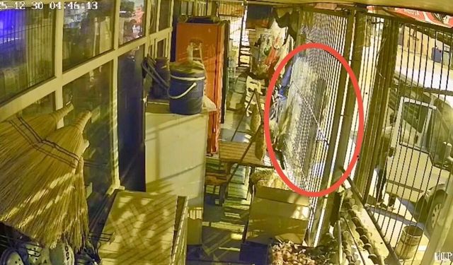 Osmaniye’de Hırsızlık Şüphelisi Tutuklandı