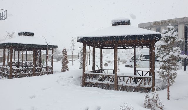 Van'da 34 yerleşim yeri kardan kapandı
