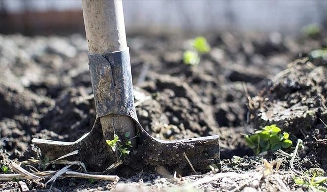 Türkiye’de Gübre Krizi İddiası Dezenformasyon Çıktı