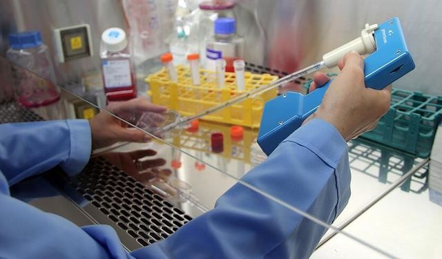 Uçuk Virüsü Kanserle Savaşta Umut Oldu