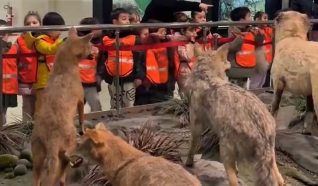 Miniklerden Büyük Keşif: Bakımevi Çocukları Doğa Tarihi Müzesi’nde