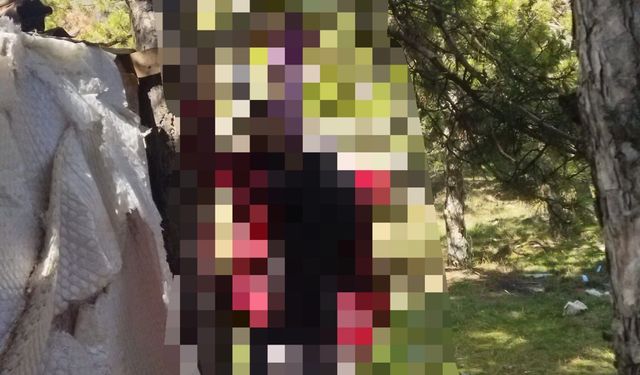 Keçiören Bağlum’da Ormanlık Alanda Erkek Cesedi Bulundu!