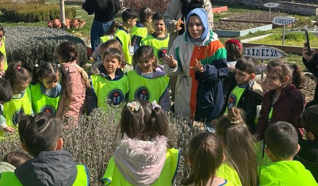 Endemik Vadi, Öğrencilerin Gözdesi Olmaya Devam Ediyor