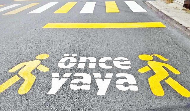 Yaya geçitlerinde ölüm alarmı: Denetim yetersiz