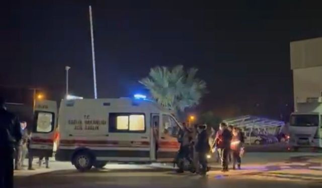 Balık fabrikasında gaz sızıntısı: 15 işçi hastaneye kaldırıldı