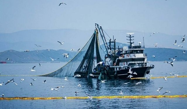 Denizlerde Av Yasağı 15 Nisan’da Başlıyor: Gırgır ve Troller İçin Sezon Kapanıyor