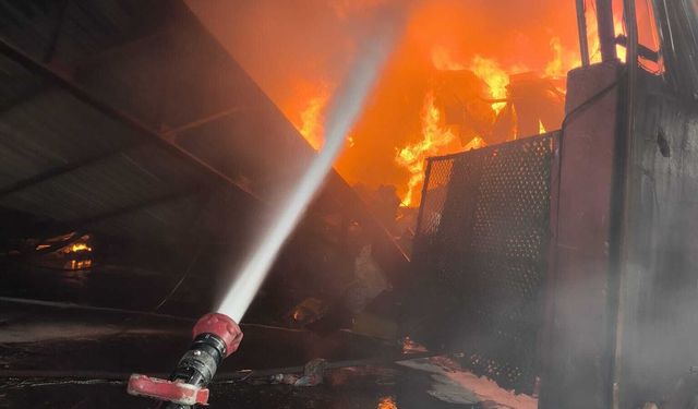 Geri dönüşüm tesisinde yangjn