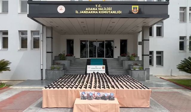 İstanbul ve Adana'da silah kaçakçılarına operasyon