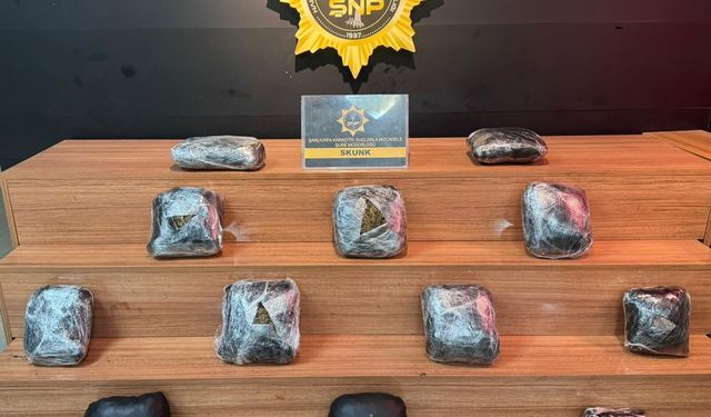 Şanlıurfa'da 8 kilo skunk ele geçirildi