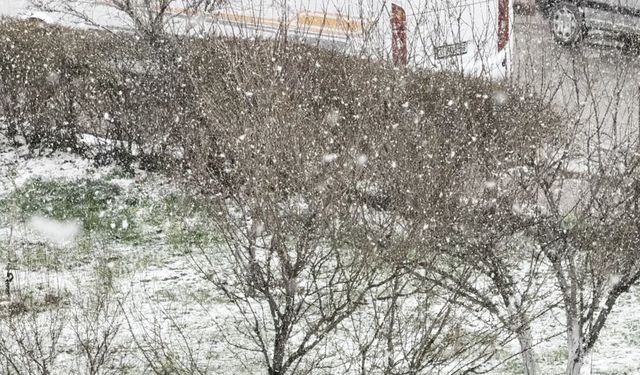 Sivas'ta kar yağışı