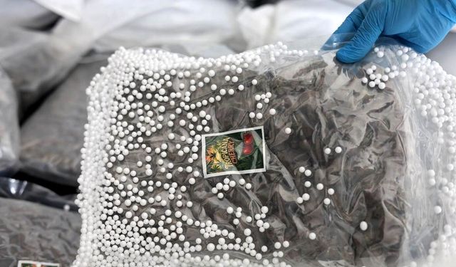 Türkiye ve Suriye'den ortak operasyon