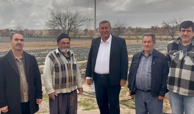 Niğde’de Çilek Üreticisi Dertli: “35 Yıldır Böyle Zor Dönem Görmedim”