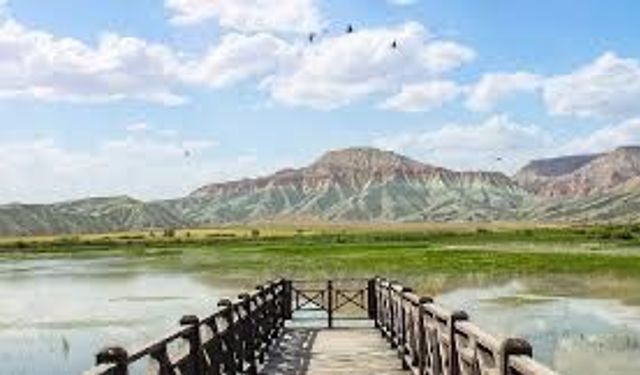 Nallıhan Kuş Cenneti göçmen kuşlarla şenlendi