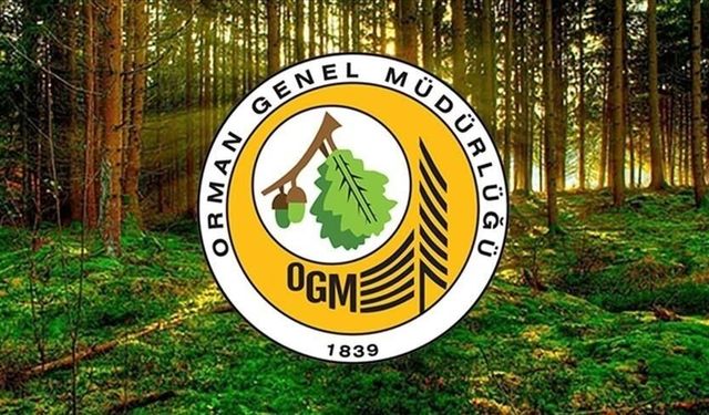 Deniz Köyü’nde Neler Oluyor? Orman Genel Müdürlüğü İddialara Yanıt Verdi