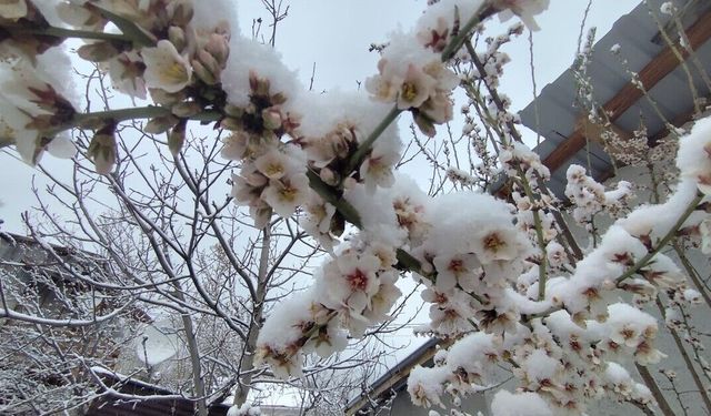 Nisan Ortasında Kar Sürprizi: Beypazarı Beyaza Büründü