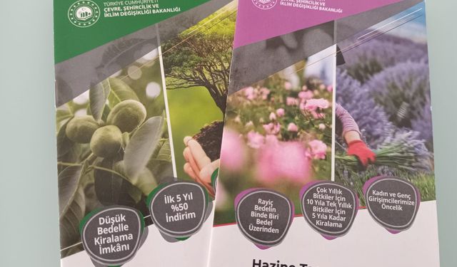 Doğadaki Aromatik Bitkiler Kiraya Veriliyor