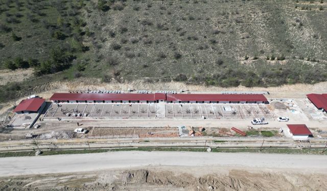Ankara’nın En Büyük Evcil Hayvan Parkı Açılıyor!