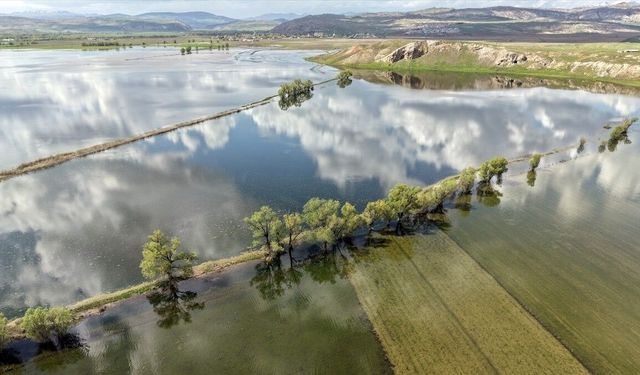 Sivas'ta 1500 dönüm tarım arazisi su altında