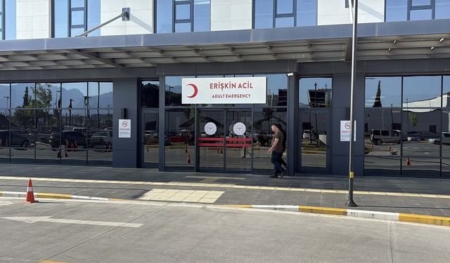 Aydın'da kurban kesimi sırasında 277 kişi yaralandı