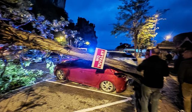 Bartın'da fırtına; ağaçlar devrildi