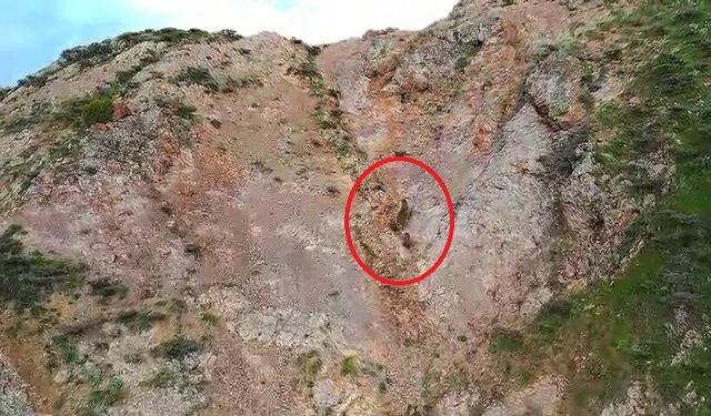 Bingöl’de kartalın ayı ailesini takip ettiği anlar kamerada