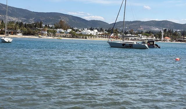 Bodrum’da Deniz Çayırları Alarm Veriyor: 20 Yılda Binlerce Hektar Kayıp