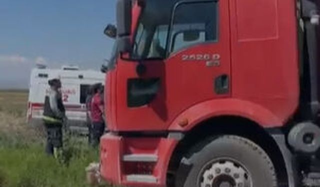 Elektrik direğinde akıma kapılıp mahsur kaldı