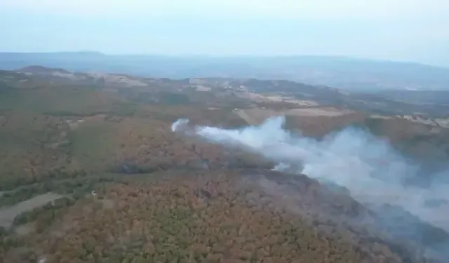 Kocaeli'de ormanlara giriş yasak!