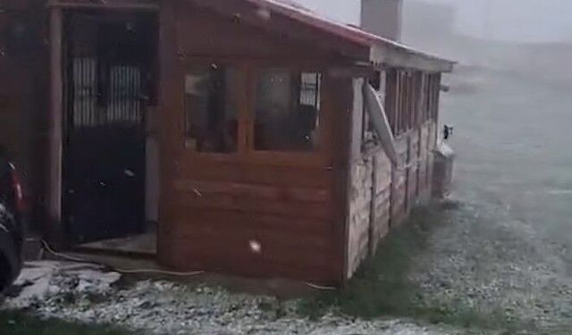 Ordu mayıs ayında kar gördü