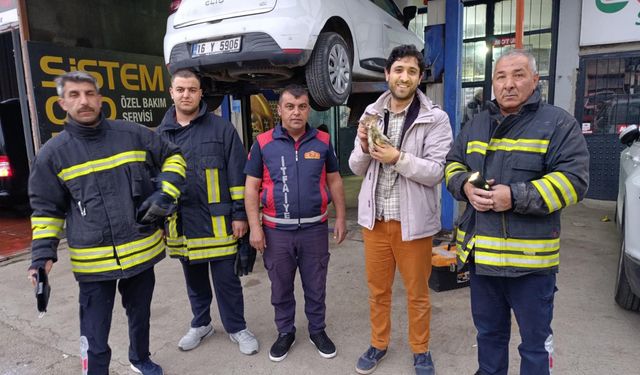 Otomobilin motor bölümüne girdi
