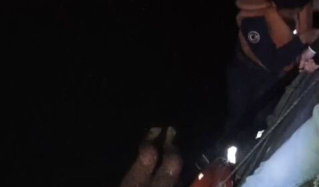 Seyhan Nehri'ne düşen kadını itfaiye ekibi kurtardı