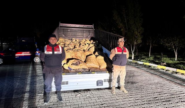 Van'da kacak inci kefali avlayan 7 kişi yakalandı