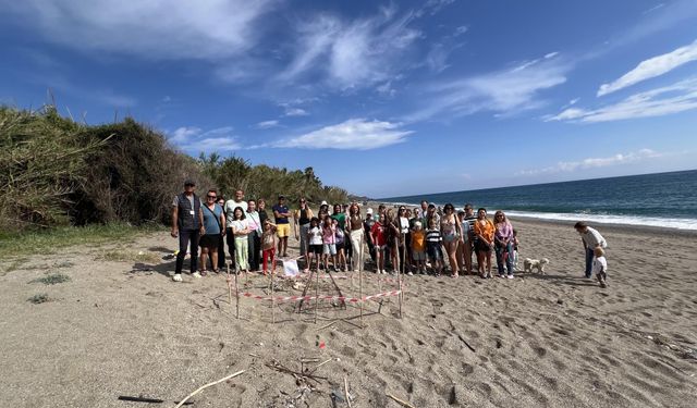Yılın ilk caretta caretta yuvası korumaya alındı