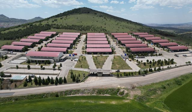 Altındağ’da Kurban Kesim Yerleri Açıklandı: İşte Belirlenen Noktalar