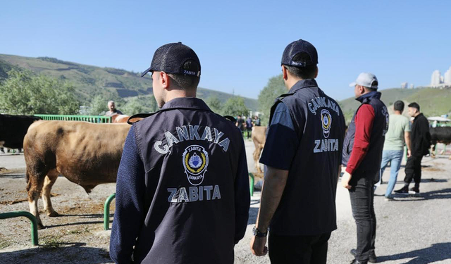 Çankaya Belediyesi’nden Bayramda Kurban Kesim Alanında Tam Mesai
