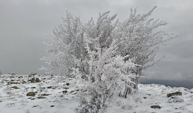 Ankara'da Mayıs Ayında Kar Yağışı Sürprizi!