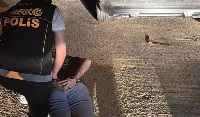 Kırmızı bültenle aranan şüpheli Bodrum'da yakalandı