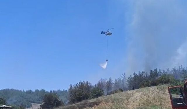 Adana'da orman yangını