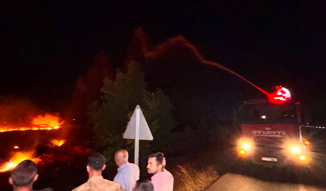 Anız Yangını Büyüdü, 200 Dönümlük Alan Kül Oldu